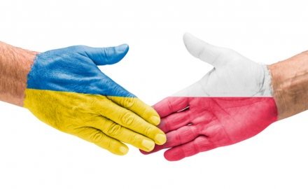 Informacja dotycząca zwierząt przekraczających granicę z Polską